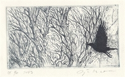 BJØRN KROMANN-ANDERSEN – Kragetrang